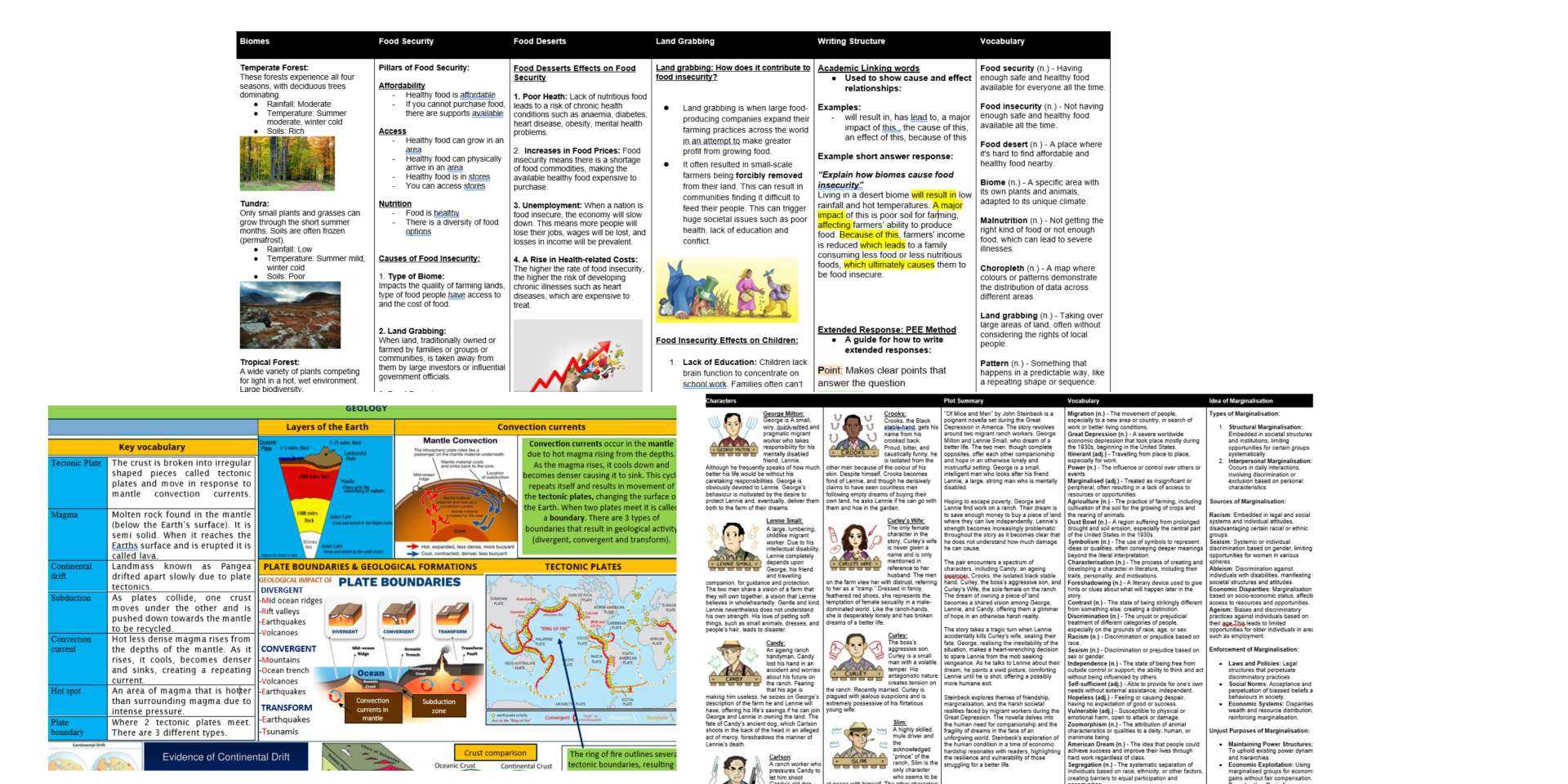 Examples of Knowledge Organisers at WHS