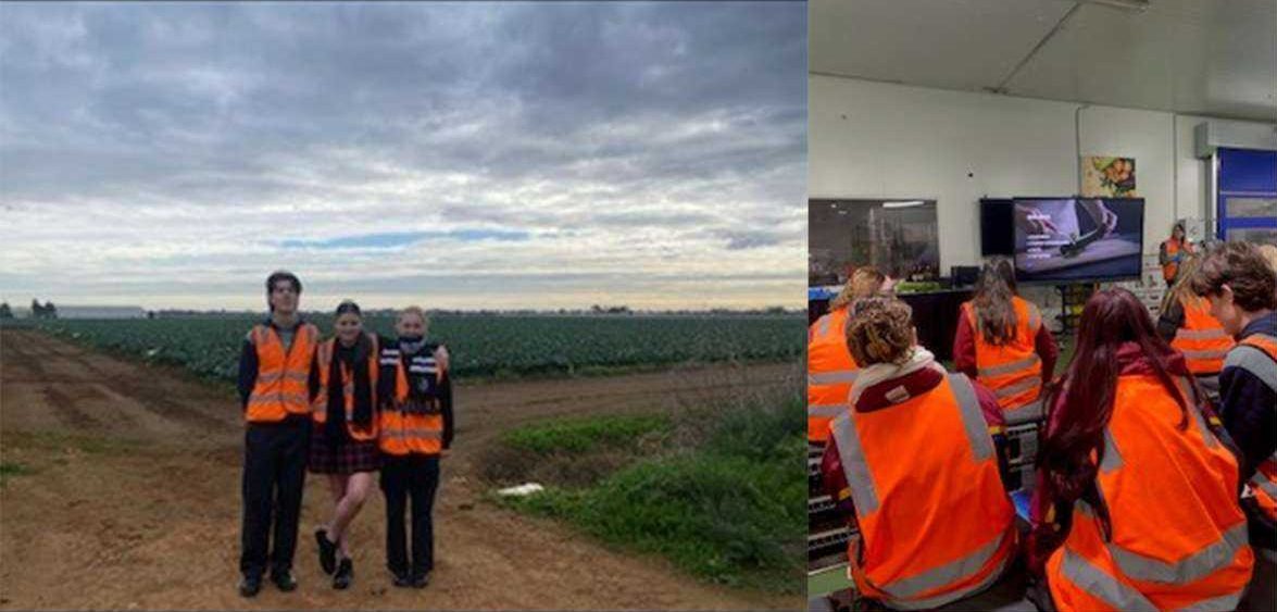 Year 11 Food Studies